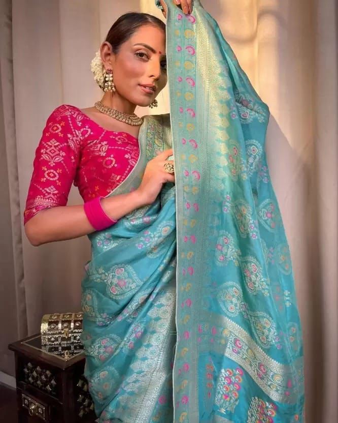 Sky Blue Soft Banarasi Silk saree Excellent Blouse Piece